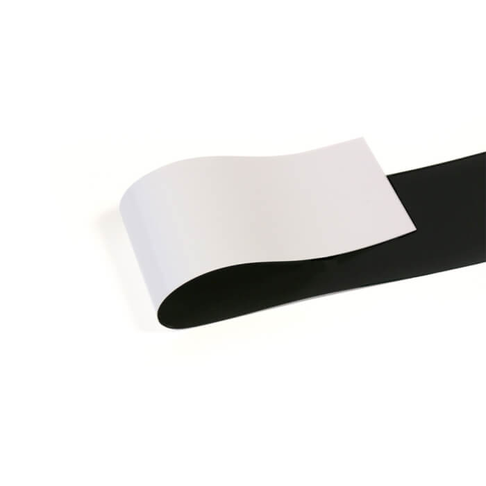 Data Strip Coloured Infill Roll