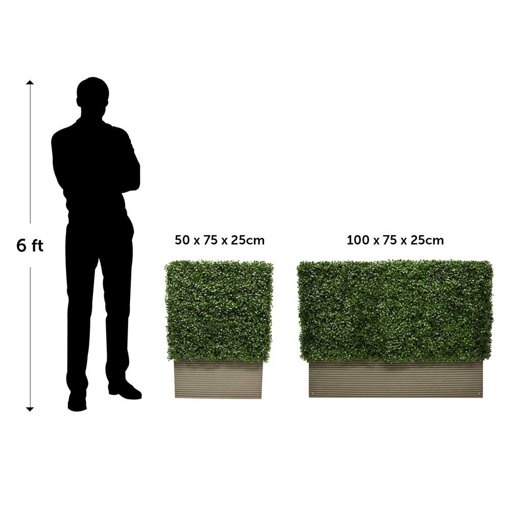 Artificial Boxwood Hedge (3-5 day lead-time)