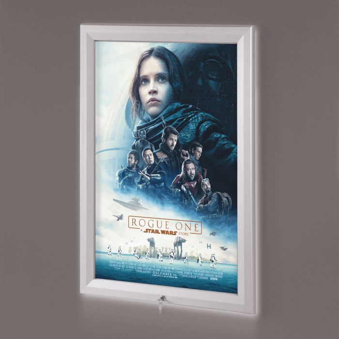 Outdoor LED Illuminated Poster Frame