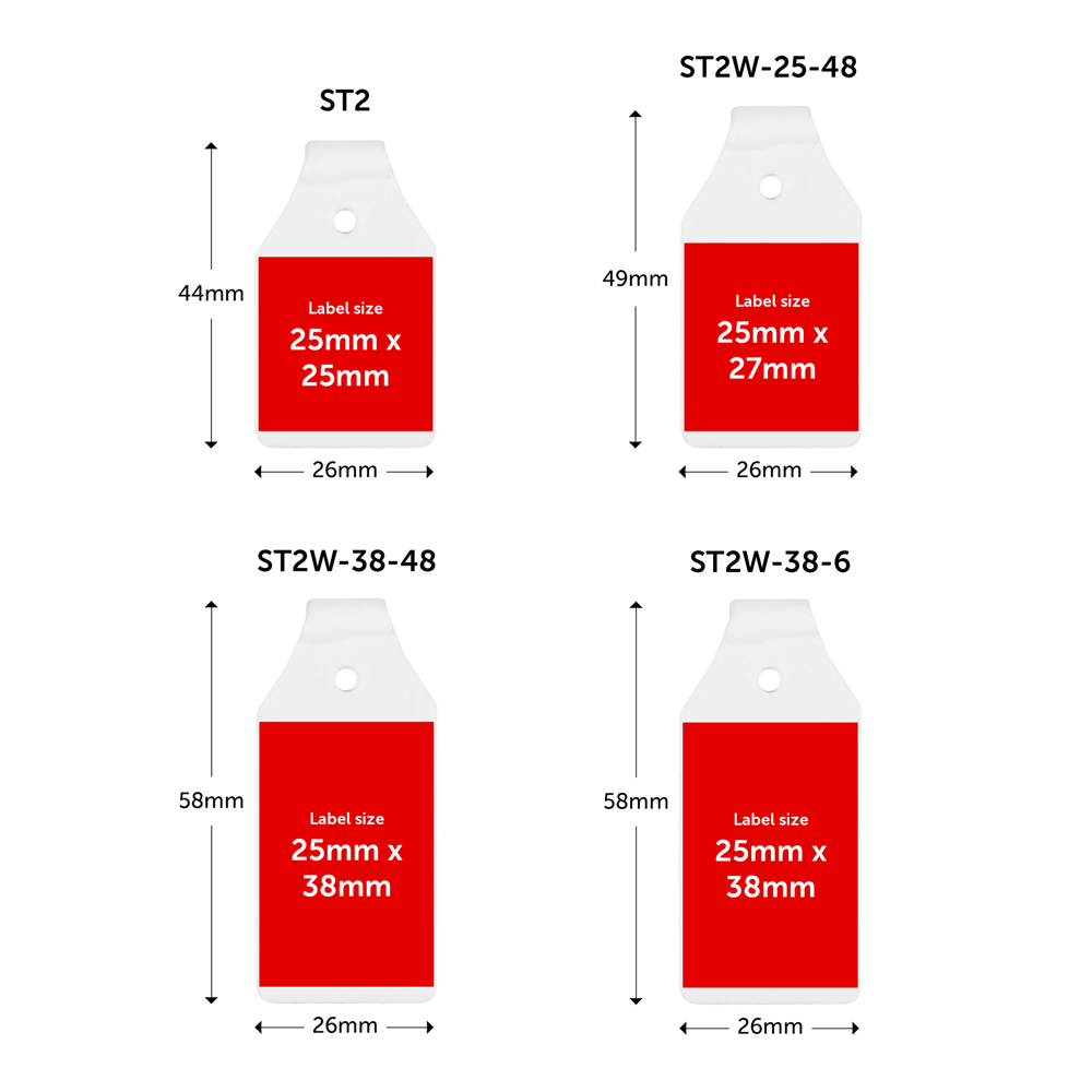 Locking Swing Tags x 100