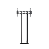 Digital Signage Mounts and Stands