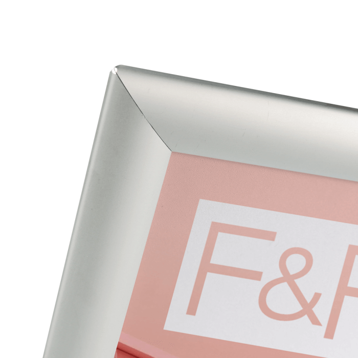 Budget Backless Snap Frame